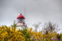Hiddensee (287)