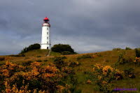 Hiddensee (288)