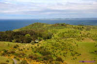 Hiddensee (300)