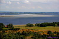 Hiddensee (302)