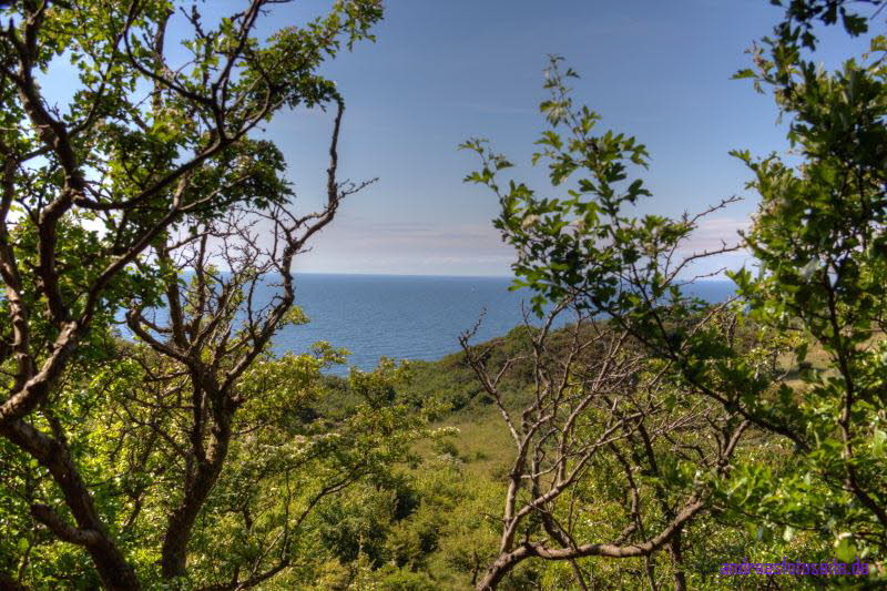 Hiddensee (320)