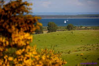 Hiddensee (326)