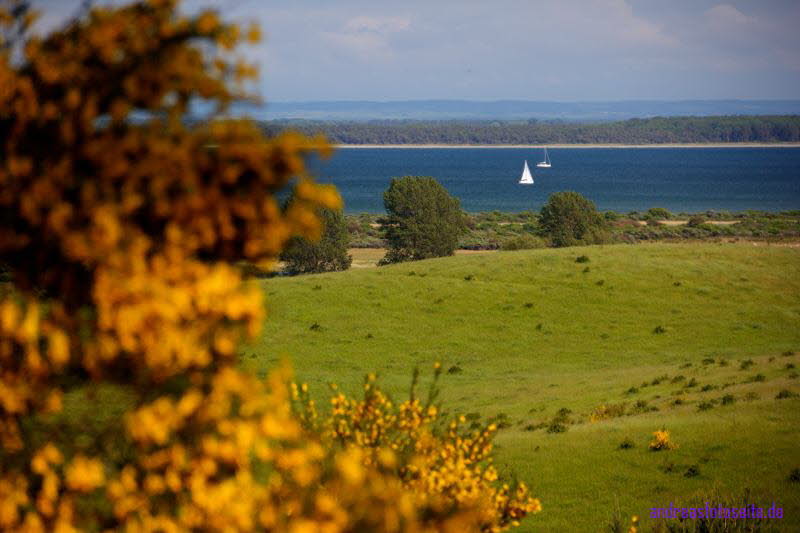 Hiddensee (326)