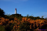 Hiddensee (328)