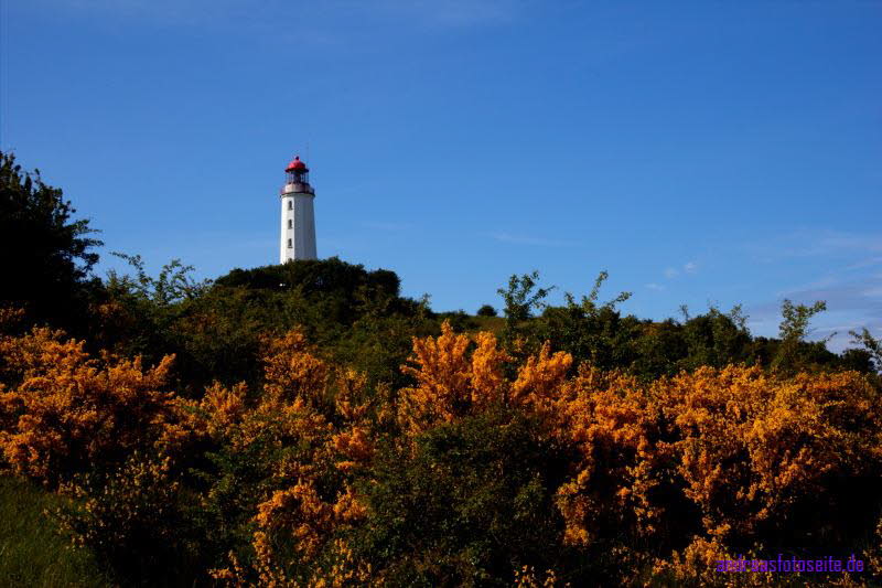 Hiddensee (328)