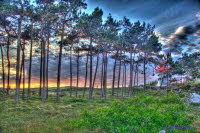 Hiddensee (345)