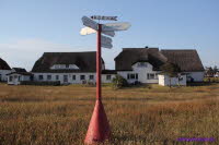 Hiddensee (369)