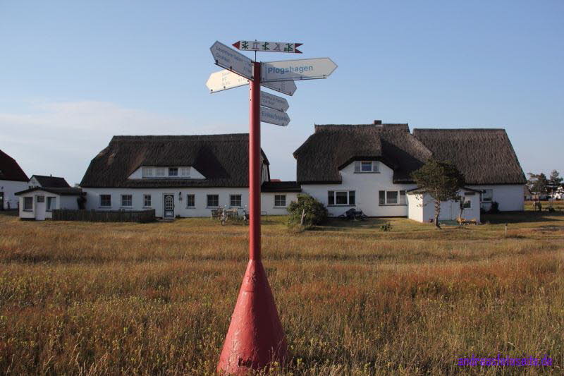 Hiddensee (369)