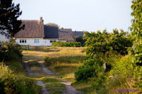 Hiddensee (374)