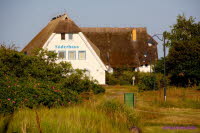 Hiddensee (391)