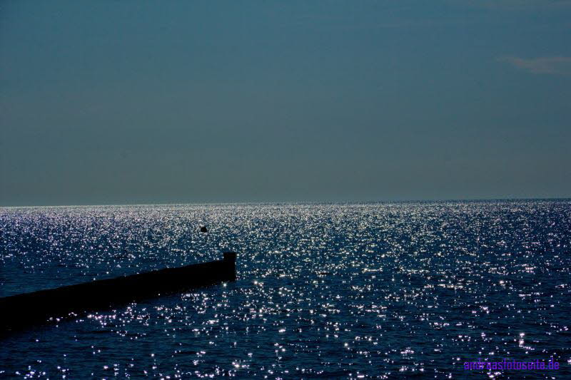 Hiddensee (398)