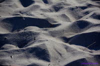 Hiddensee (406)