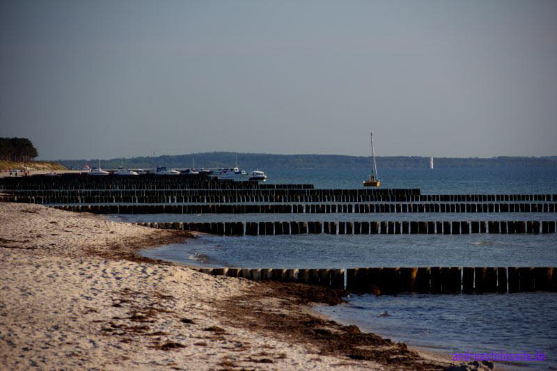 Hiddensee (413)