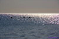 Hiddensee (428)