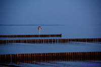 Hiddensee (437)