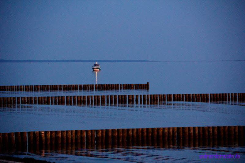 Hiddensee (437)