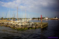 Hiddensee (449)
