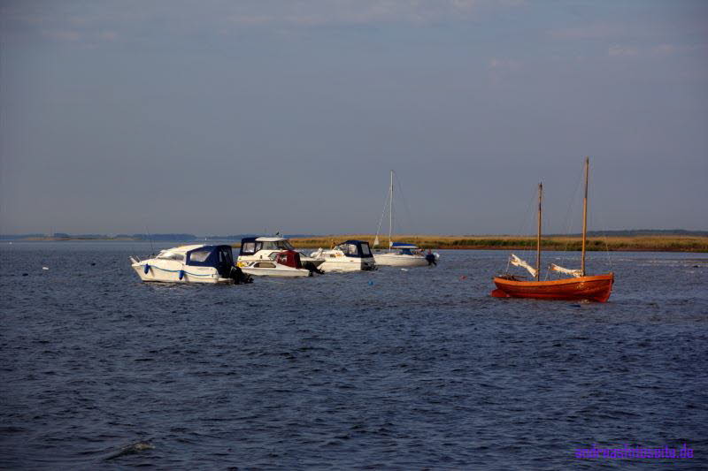 Hiddensee (450)