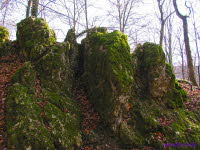 Hohenurach (2)