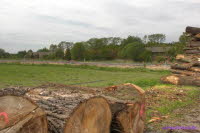 Holz2