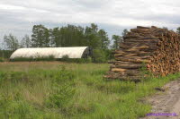 Holz3