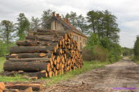 Holz4