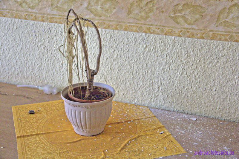 Hotel_G162