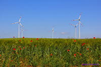 Windkraft