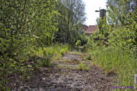 Knast (6)