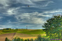 Lndliches Wildbach