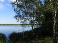 Grnewalder Lauch