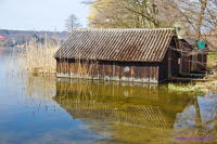 MekPomm111