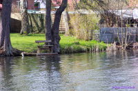 MekPomm135