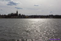 MekPomm233