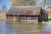 MekPomm254