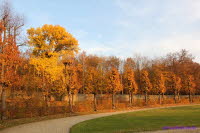 Herbst im Garten