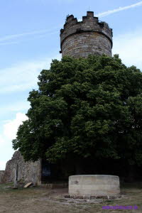 Mhlburg (12)