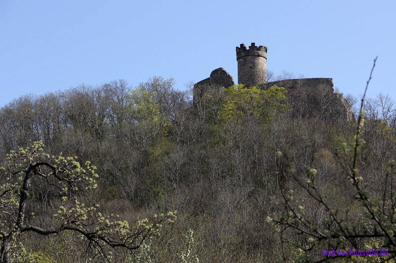 Mhlburg (13)