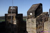 Auf dem Turm