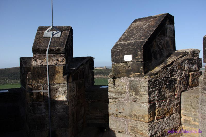 Auf dem Turm