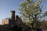 Mhlburg (2)
