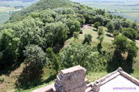 Mhlberg