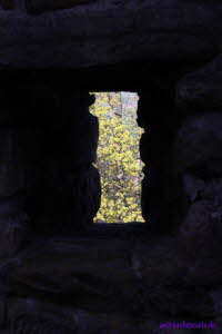 Naturblick