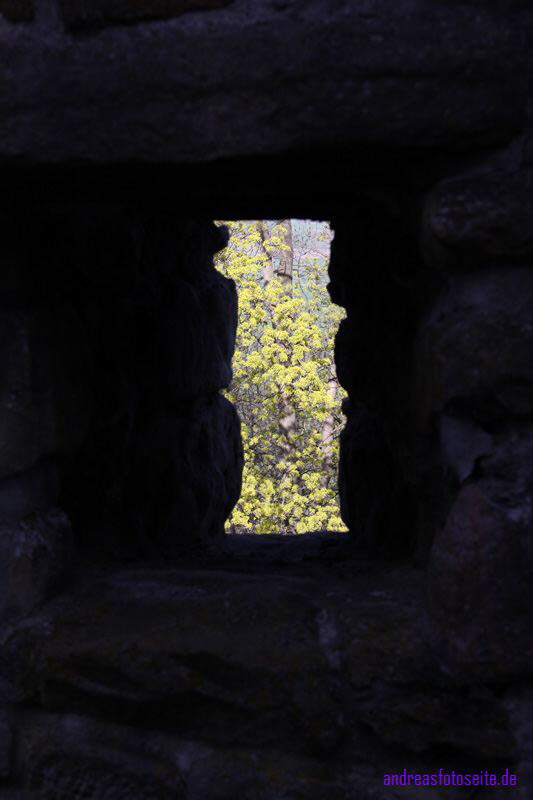 Naturblick