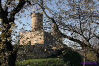 Mhlburg (3)