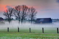 Nebel