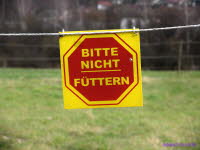 Nicht Fttern
