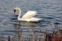 Nordstrand Erfurt