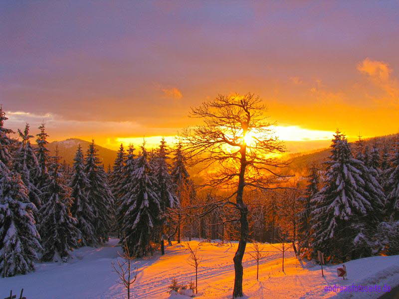 Oberhof (2)