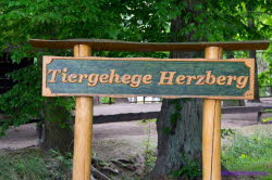 Schlo Herzberg (14)